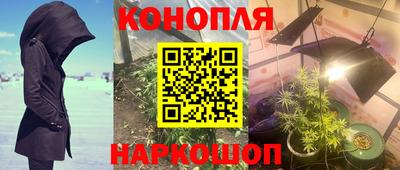 apvp Краснодар