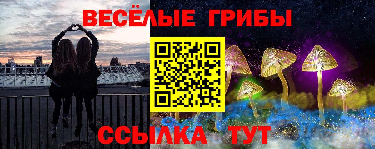 Псилоцибиновые грибы Psilocybine cubensis Кубинка